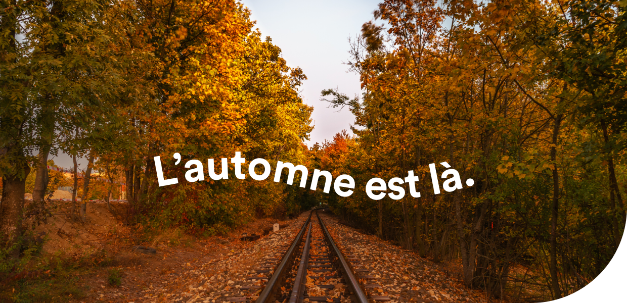 L'automne est là !