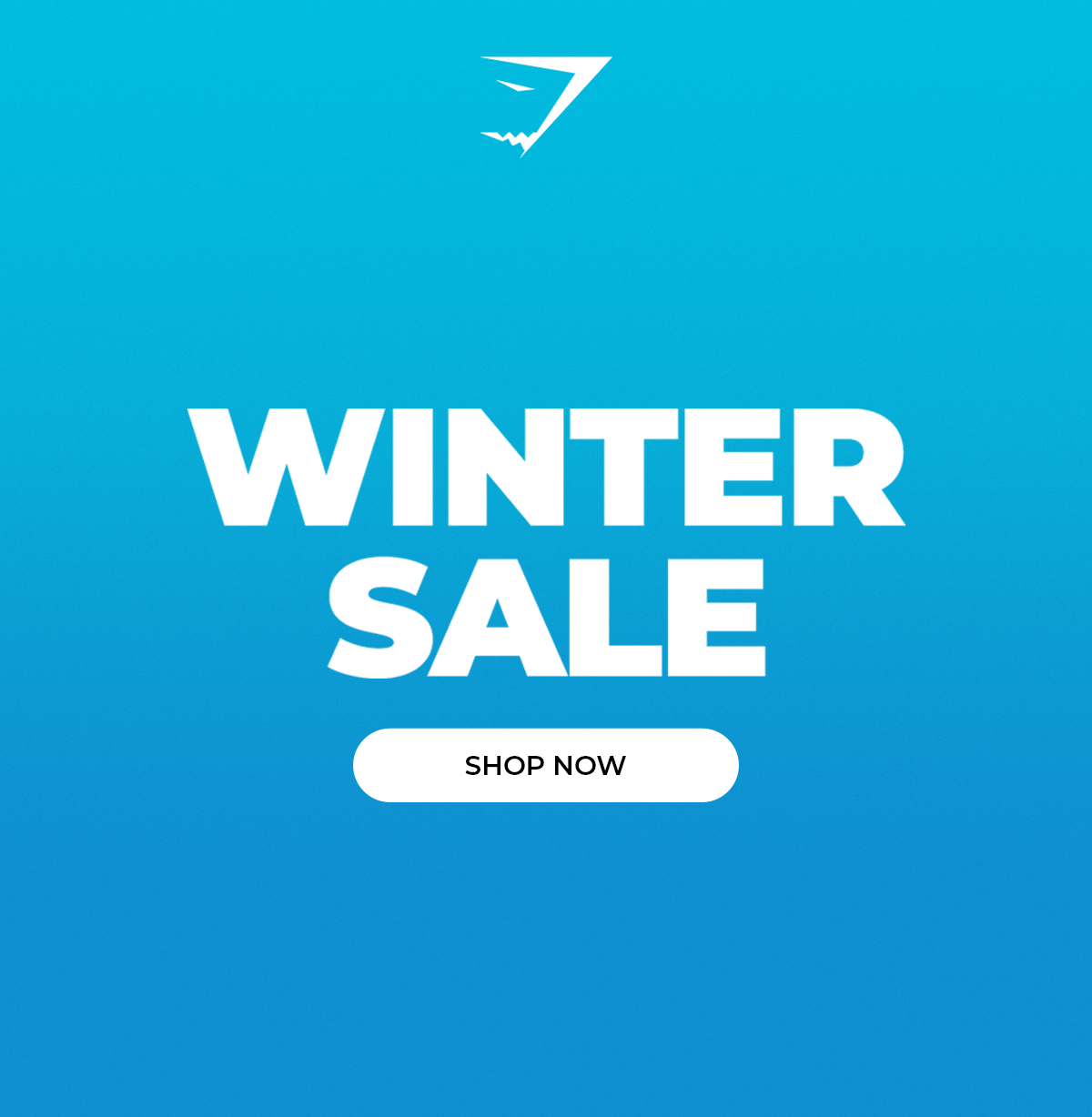 Winter Sale