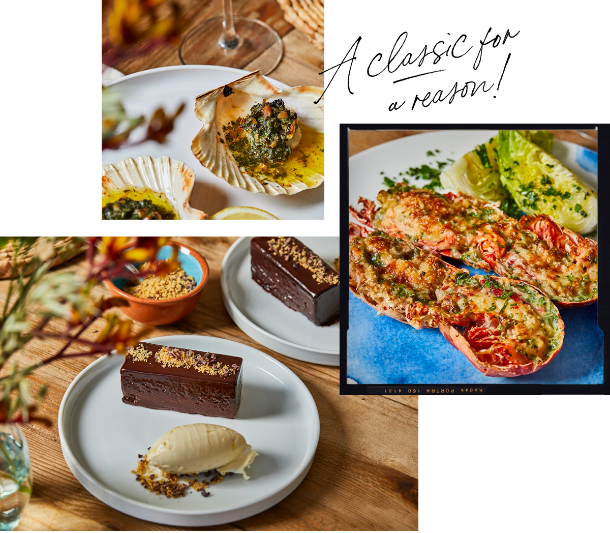 Rick Stein's Luxurious Lobster Thermidor 🦞 Dishpatch UK