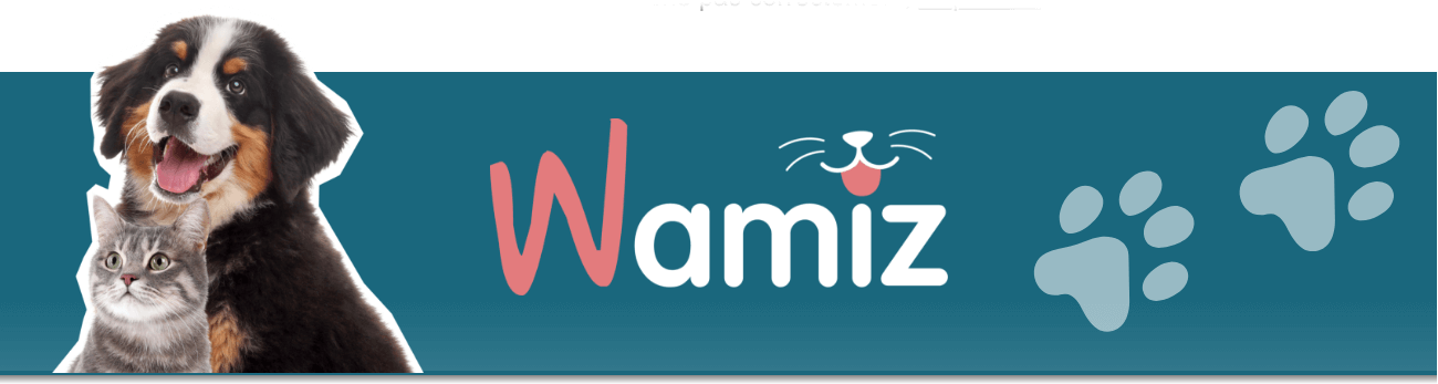 Wamiz