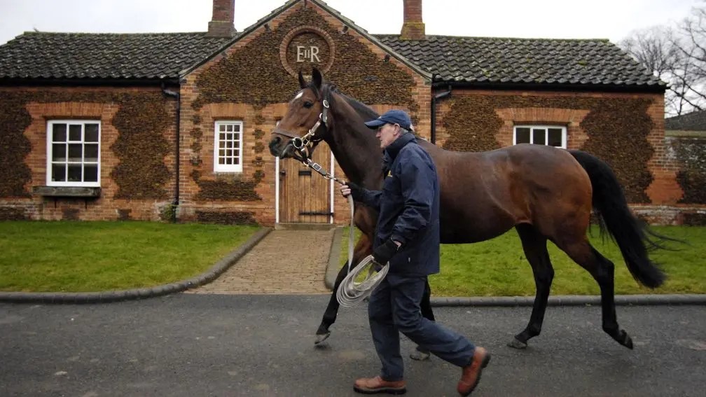 Is the English Derby any longer relevant to Thoroughbred Breeding ...