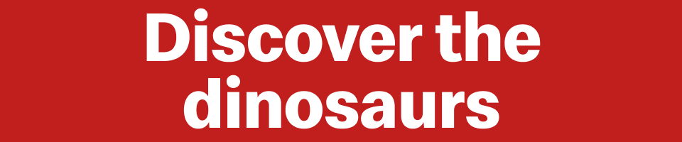 Discover the dinosaurs