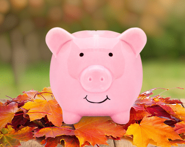 SAVE BIG | Your exclusive Payday discount