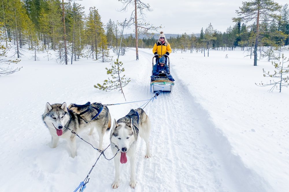 Finnish wilderness week<br>- save up to 10%