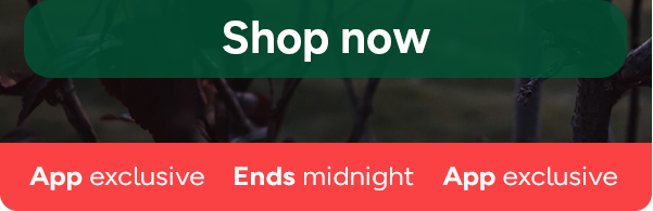 Shop Now. App Exclusive. Ends Midnight.