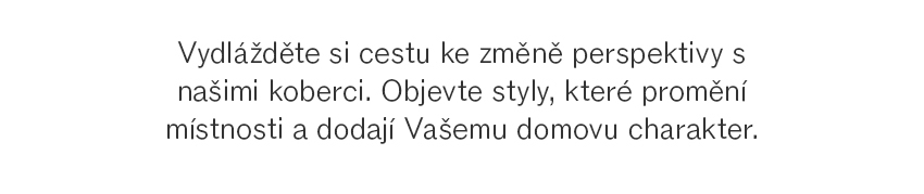 Najděte svůj koberec