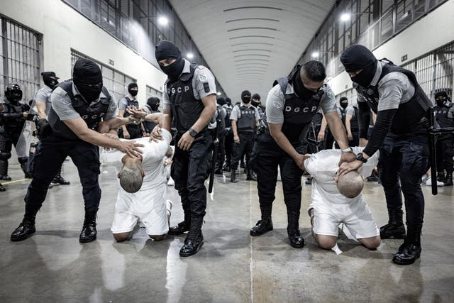 Inmates are held in an El Salvadoran prison where American deportees are being sent.