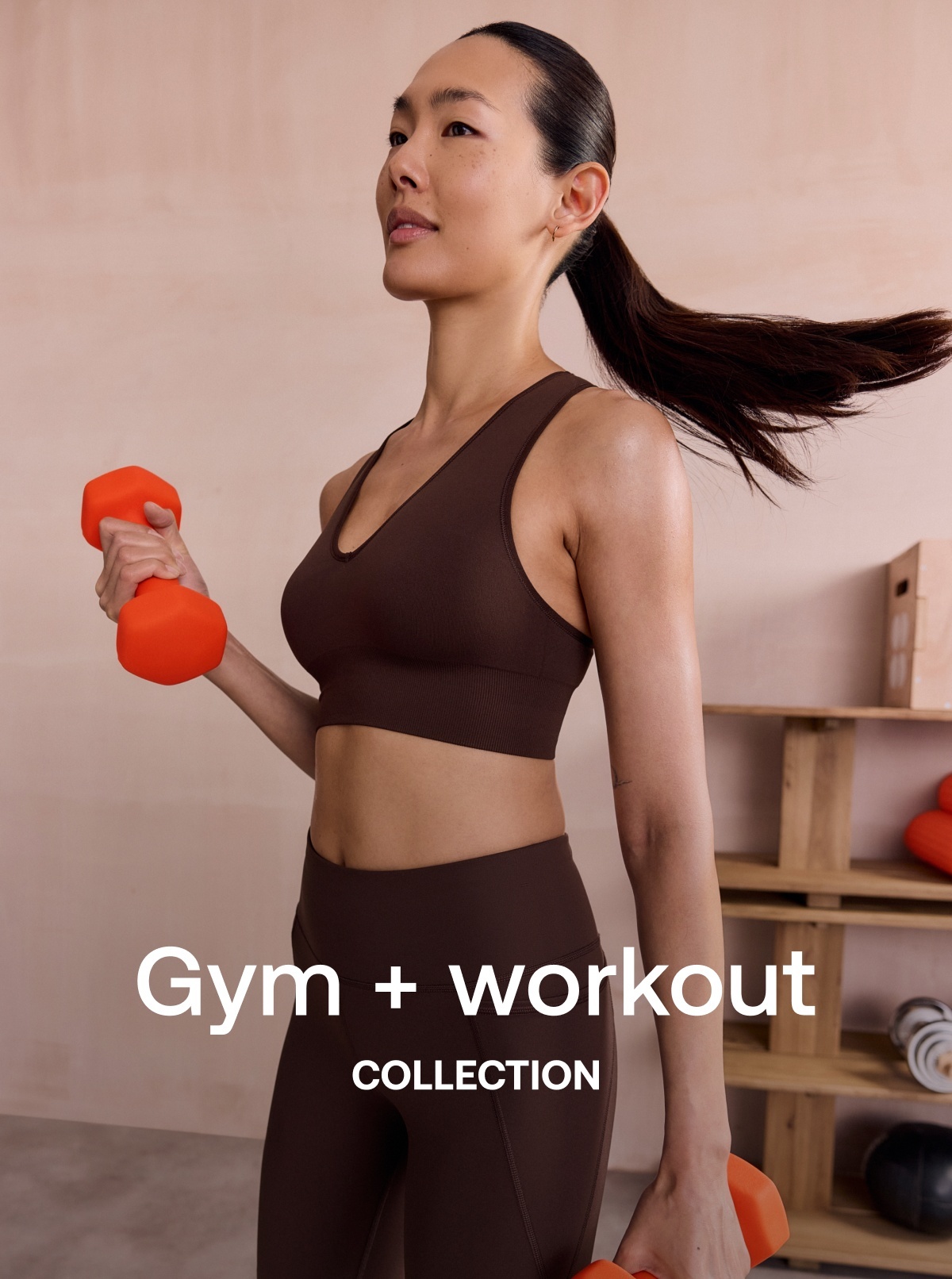 Gym + Workout Collection