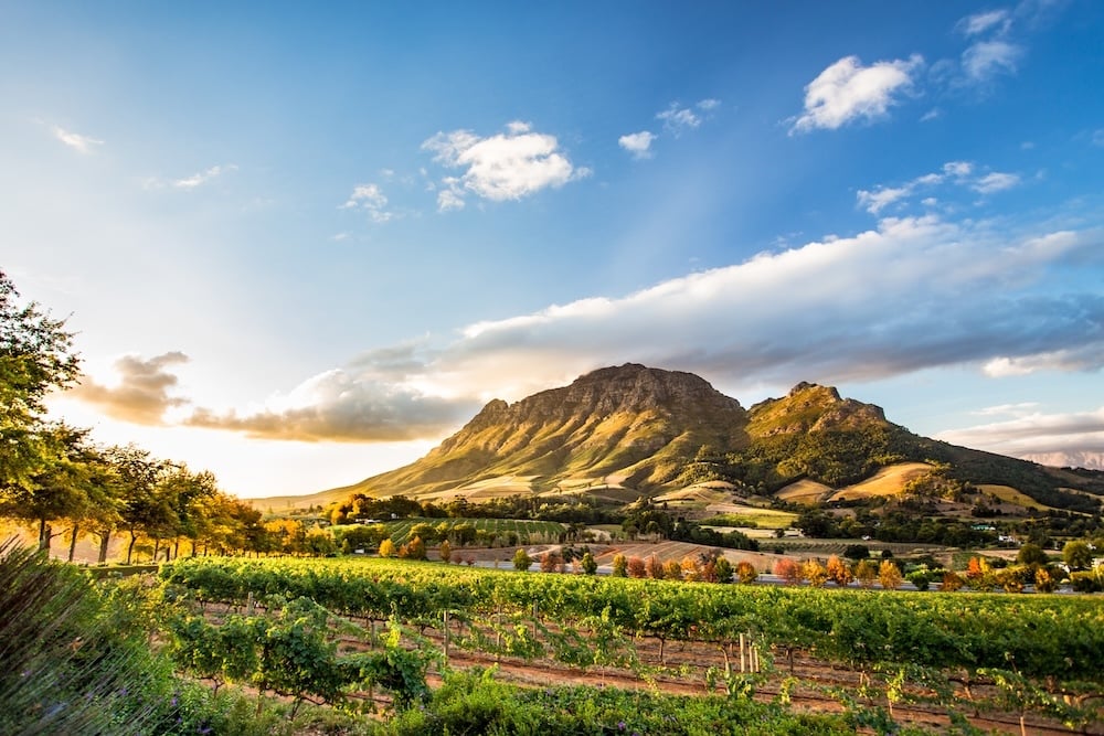 South Africa<br>- save up to £500pp