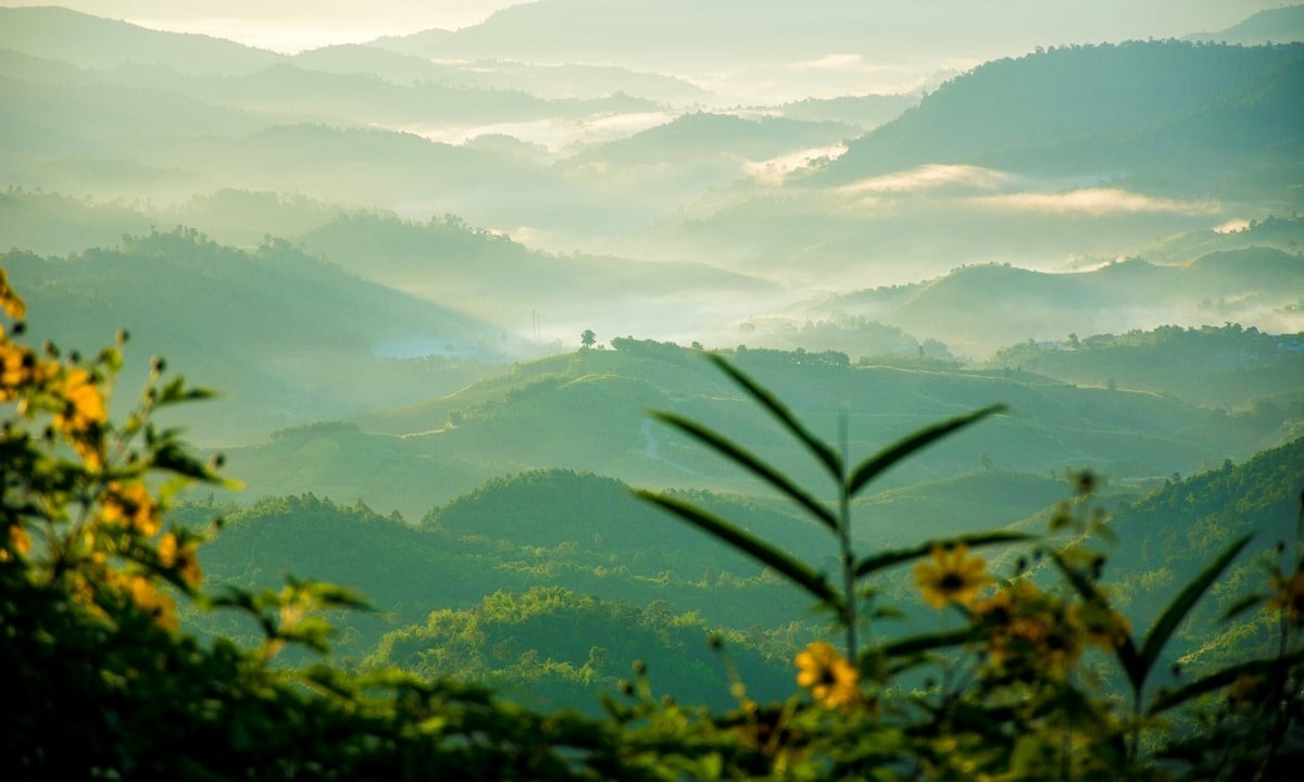 Thailand Thailand