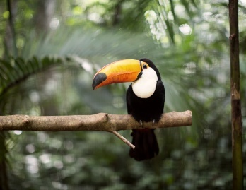 Costa Rica