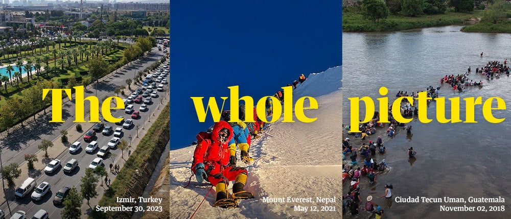 The Whole Picture