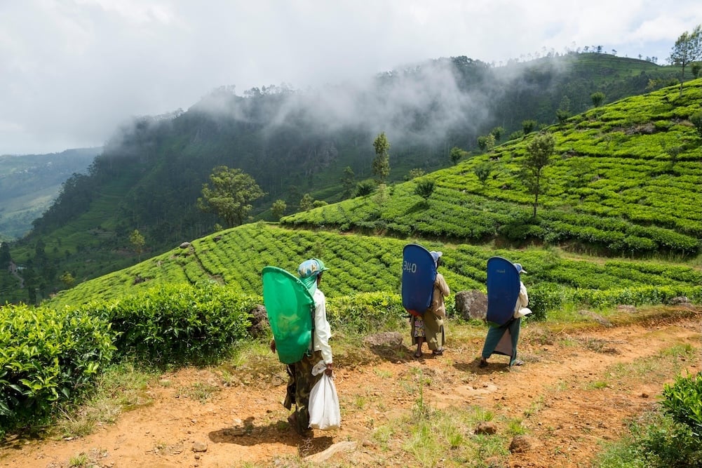 From the archives: Places to go in Sri Lanka