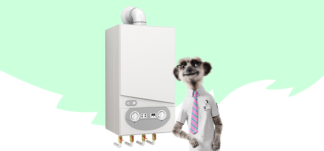 Sergei standing next to a boiler