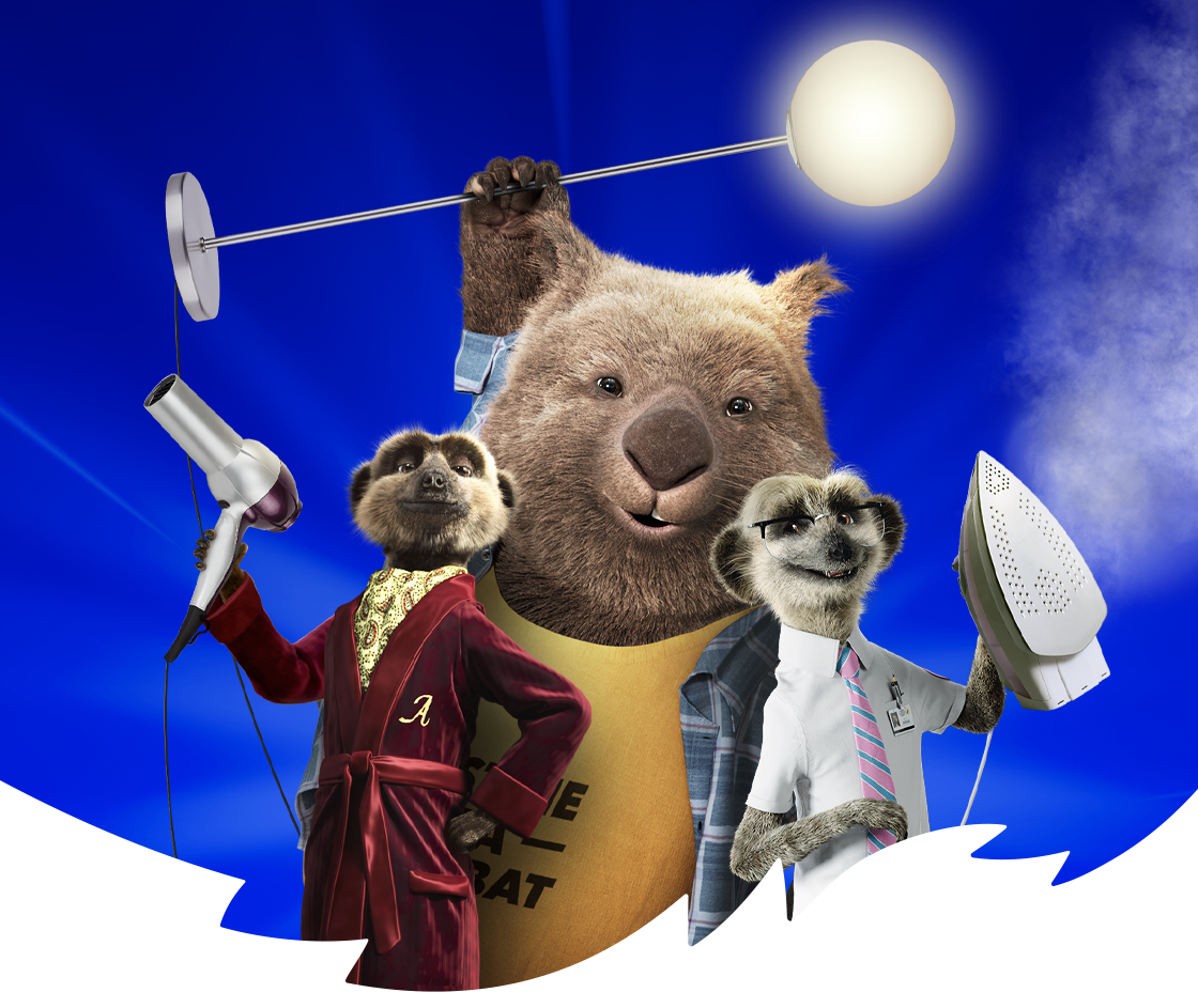 Two meerkats and a wombat holding electrical appliances