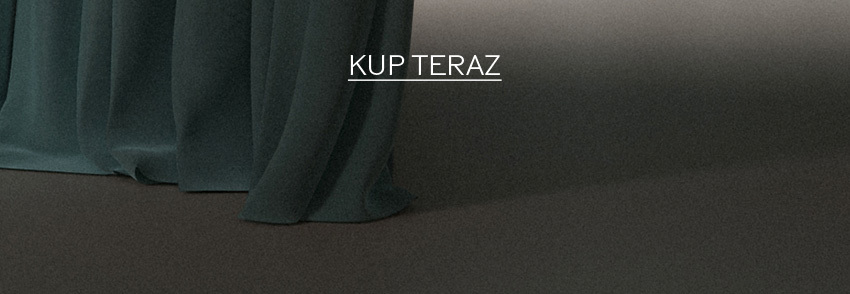 The Black Friday Sale