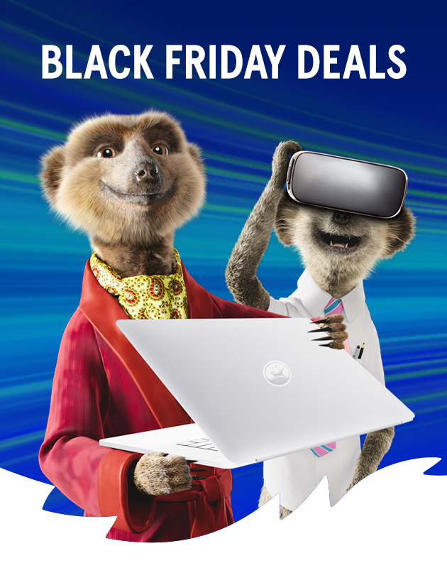 Black Friday deals with two meerkats