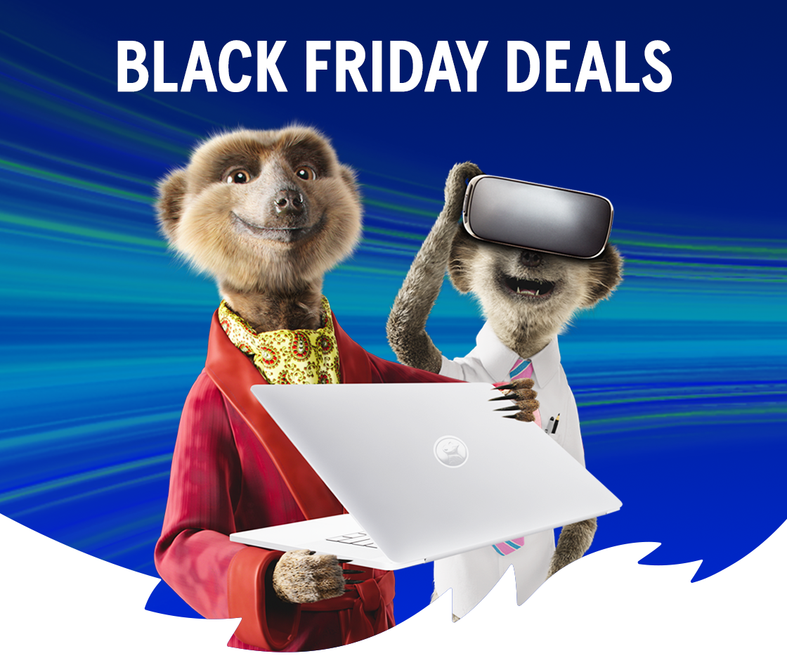 Black Friday deals with two meerkats