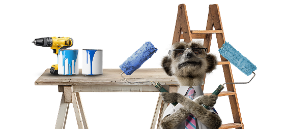 Meerkat with paint rollers besides DIY tools.