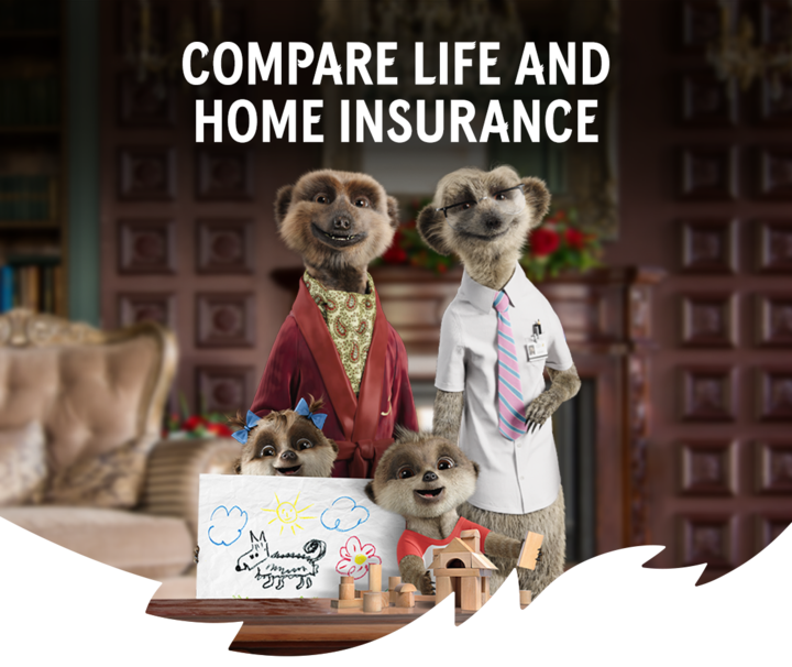 Meerkat family promoting life and home insurance.