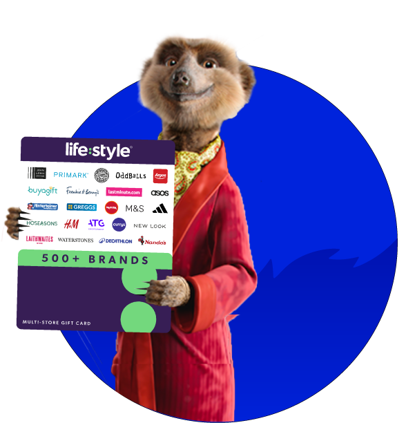 Wombat with arm in a sling holding a skateboard beside a meerkat.