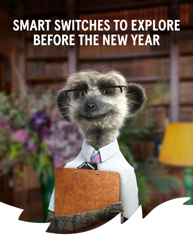 Smart switches to explore before the new year