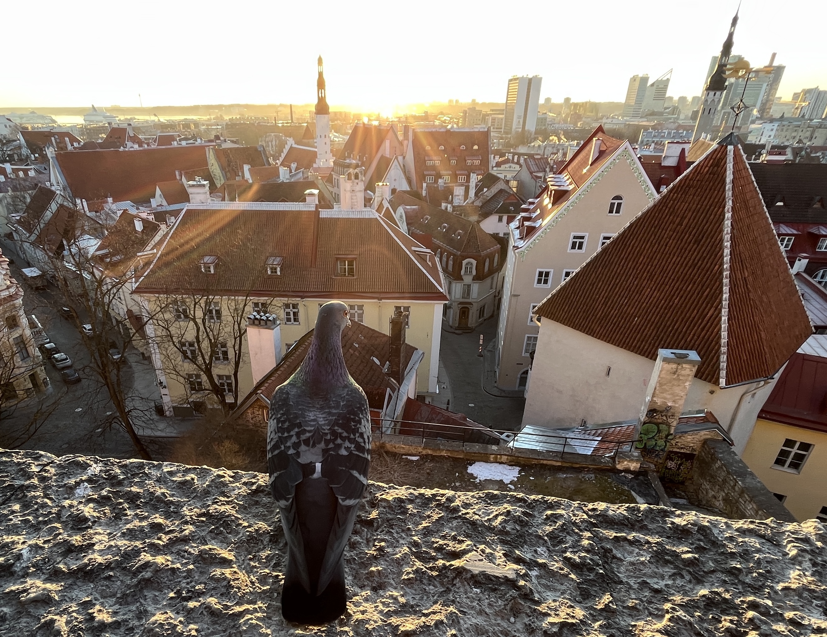 Estonia's capital Tallinn