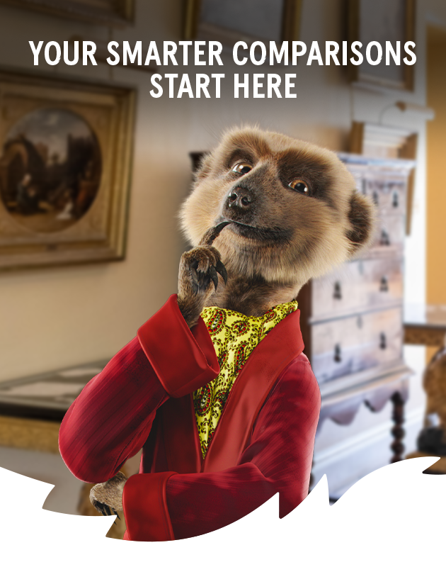 YOUR SMARTER COMPARISONS START HERE WITH A MEERKAT THINKING