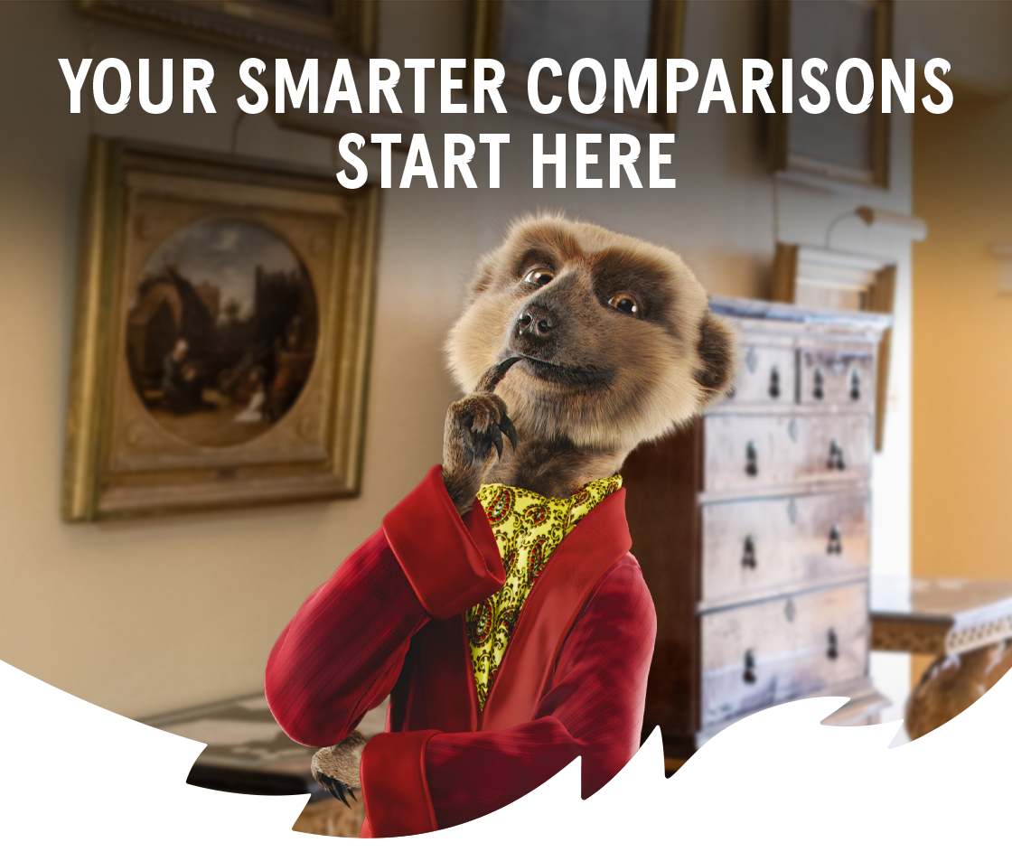 YOUR SMARTER COMPARISONS START HERE WITH A MEERKAT THINKING