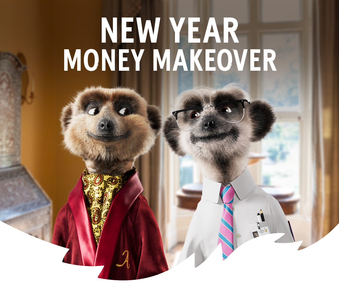 Aleksandr and Sergei the meerkats standing together indoors under the headline “New Year Money Makeover”.