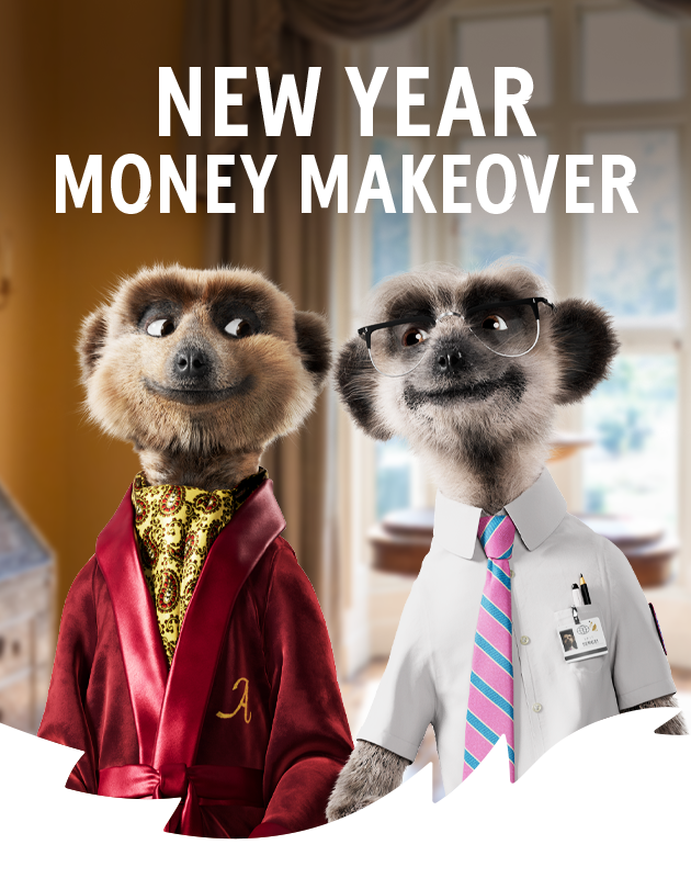 Aleksandr and Sergei the meerkats standing together indoors under the headline “New Year Money Makeover”.