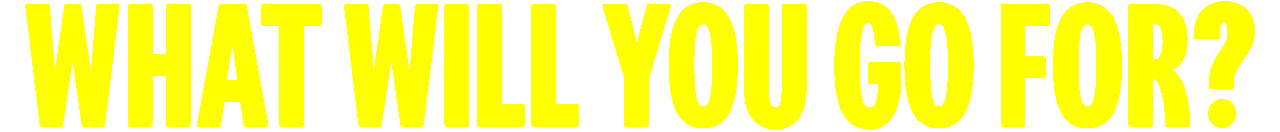 Big, bold text reads 'What will you go for?'.