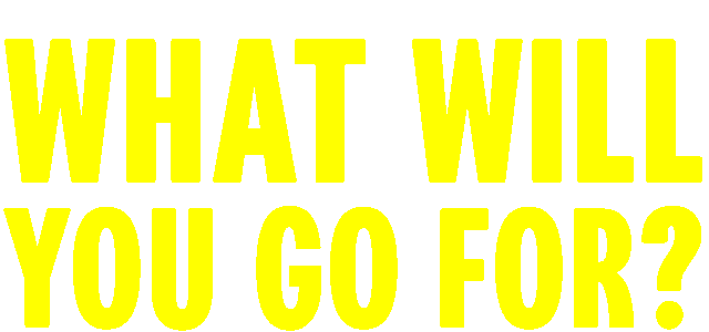 Big, bold text reads 'What will you go for?'.