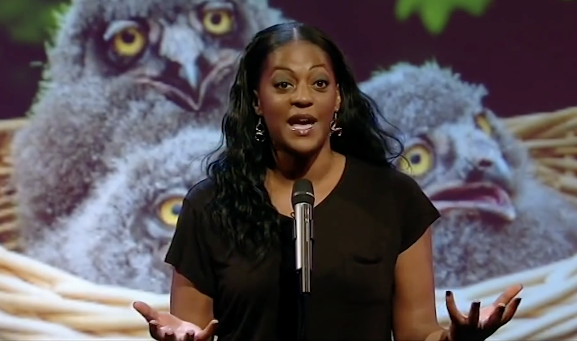 Ava Vidal on Mock the Week