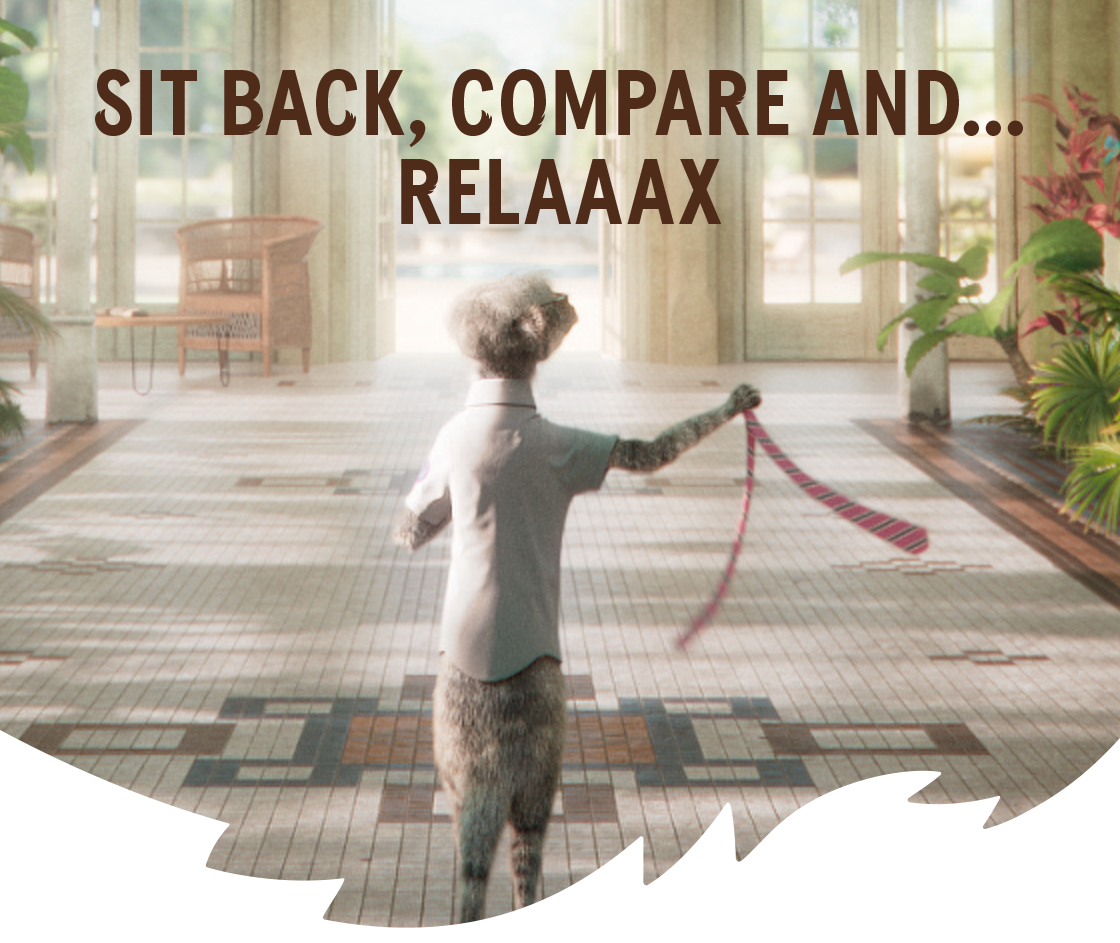 Sergei the meerkat taking off his tie with the caption "Sit back, compare and...relaaax"