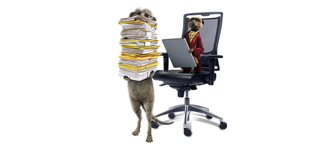 Image of Sergei the meerkat holding papers representing bills, whilst Aleks the meerkat searches on tablet