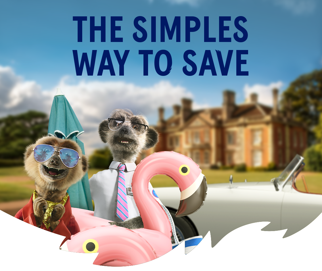 Aleksandr and Sergei beneath the message ‘The Simples Way to Save’, representing savings on car and travel insurance.
