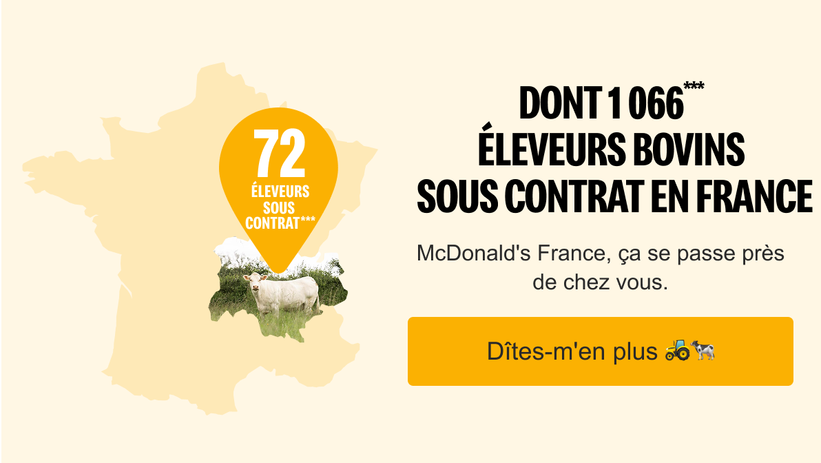 image_boeuf