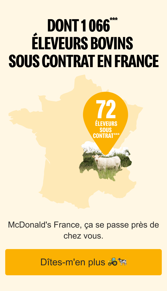 image_boeuf