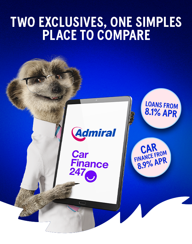 MEERKAT HOLDING AN IPAD