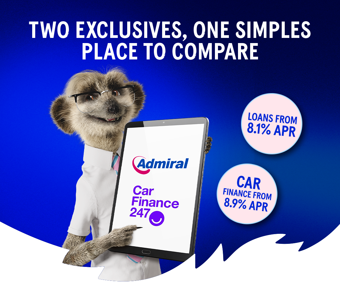 MEERKAT HOLDING AN IPAD