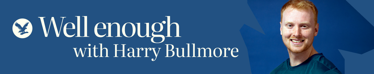 Well Enough by Harry Bullmore