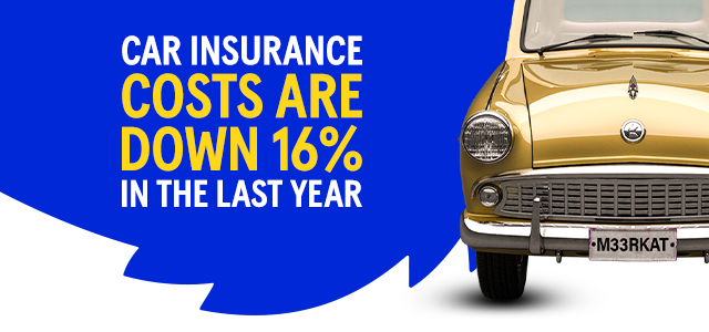 Image of a car with meerkat number plate