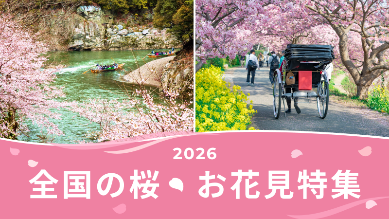 全国の桜・お花見特集