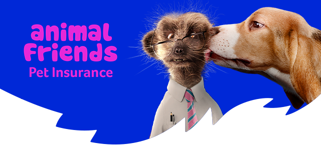 Animal Friends Pet Insurance