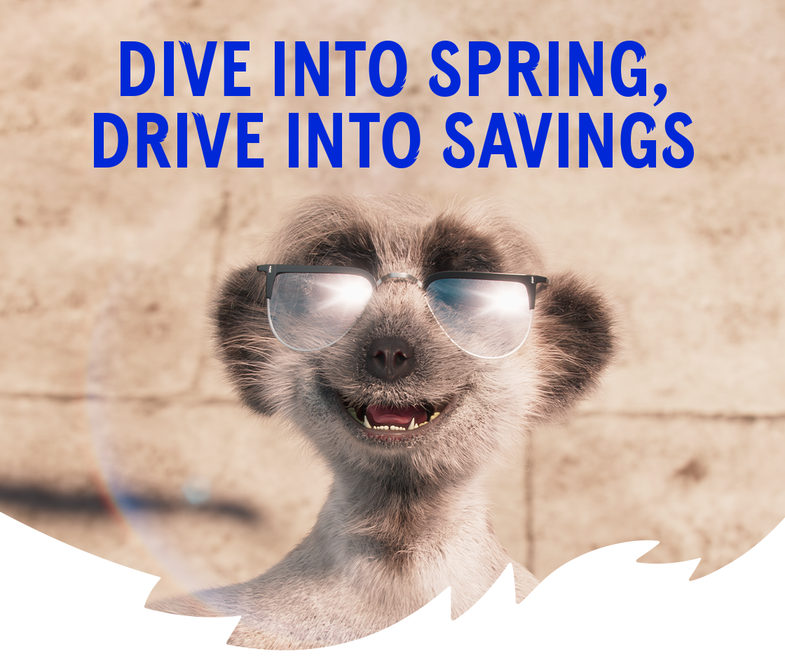 Dive into spring, drive into savings