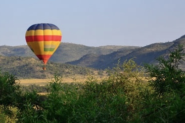 Balloon safari.