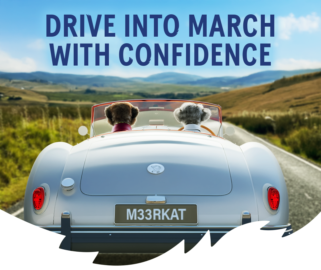 Meerkats driving in countryside