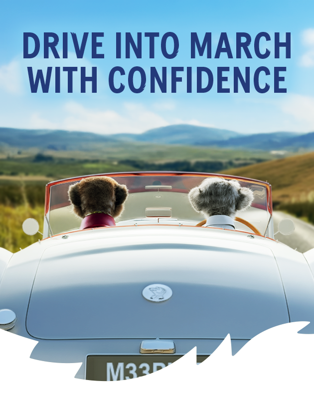 Meerkats driving in countryside