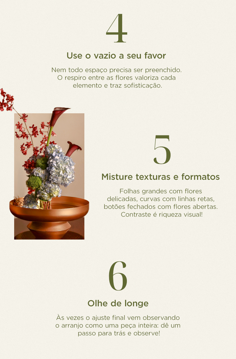 6 dicas